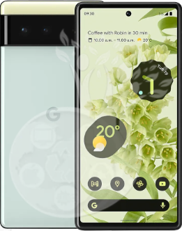Google Pixel 6 image